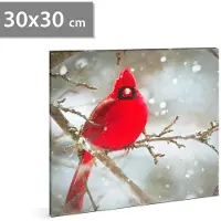 HomeShopXL GLOBIZ LED-paneel - kardinaalrood - 30 x 30 cm