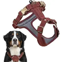 Peluvio Lord – Leren Hondentuig - Maat XL – Ergonomisch Guard Tuig van Natuurlijk Leer – Comfort & Controle – Duurzame Koperen Gespen
