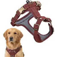 Peluvio Lord – Leren Hondentuig - Maat L – Ergonomisch Guard Tuig van Natuurlijk Leer – Comfort & Controle – Duurzame Koperen Gespen