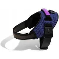 Zee.dog Flyharnass Wicked Paars&Zwart - Hondenharnas - 62-86 cm