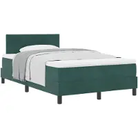 vidaXL Boxspring bed met hoofdeinde Donkergroen 120 x 190 cm Fluweel