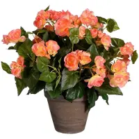 Mica Decorations Begonia Kunstplant in Bloempot Stan - H37 x Ø36 cm - Zalmroze