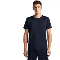 Icebreaker 150 Lodge Relaxed T-shirt Met Korte Mouwen