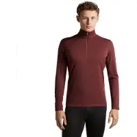 Icebreaker 200 Oasis Half Rits Lange Mouw T-shirt