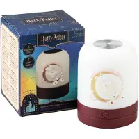 Grupo Erik Harry Potter Hedwig Lamp