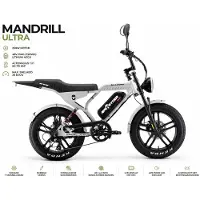 Ape Ryder Ecowielen Mandrill Ultra Elektrische Fatbike 250W - 48V 15Ah - Actieradius 60-70 km - 20 Inch - Shimano 7 Versnellingen - Hydraulische Schijfremmen