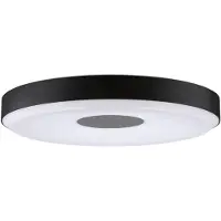 Paulmann 79518 Pane II LED-plafondlamp LED LED 23 W Zwart, Grijs