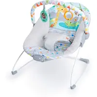 Bright Starts BRIGHT STARS Babywieg – Safari – Boog met afneembaar ontwikkelingsspeelgoed, inclusief babyspiegel. 3-punts veiligheidsgordel. Kalmerende vibraties.