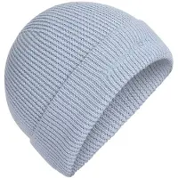 Icebreaker Mer All Day Toque Muts Grijs