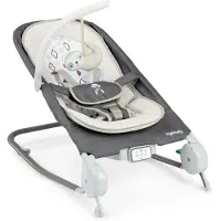 Big Buy Cooking Babywippe en babyschommel met massage, vibratie, muziek en andere functies