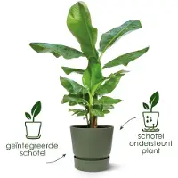 Elho Greenville Rond 40 - Grote Bloempot voor Buiten met Waterreservoir - 100% Gerecycled Plastic - Ø 39 x H 36.8 cm - Vintage pruim