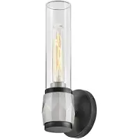 HINKLEY LED Wandlamp Ellison | 1X E27 Max 40W | Black with Brushed Nickel
