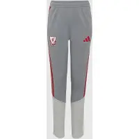 Adidas Liverpool Europees Trainingsbroek 2026-2027 Kids Grijs Rood Wit