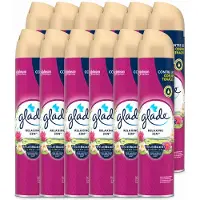 Glade 12 x - Luchtverfrisser Spray - Relaxing Zen - 300 ml - Voordeelverpakking - 12 stuks