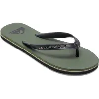 Quiksilver Molokai Core Sandalen