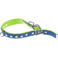 Ferplast Dual 20 Mm 43 Cm Hondenhalsband