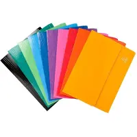 Exacompta 25x IDERAMA pocketmap - 265g/m2 - A4 - Geassorteerd - 6520Z