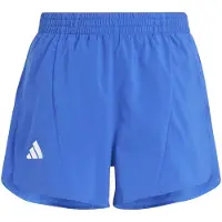 Adidas Team Shorts Kids