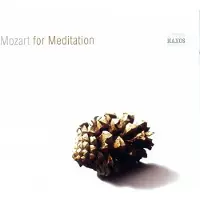 Import Various Artists - Mozart For Meditation (CD)