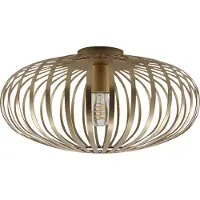 Olucia - LIEVE - Plafondlamp - Goud - Geschikt voor Woonkamer/Slaapkamer/Hal - Vorm: Rond