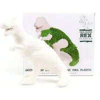 Mags Bloempot met Chia Zaadjes - Chia-saurus Rex