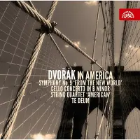 DISTRART M CNT Various Artists - Dvořák: In America (3 CD)