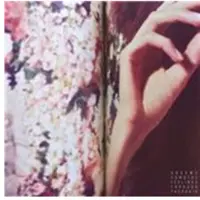Konkurrent Grooms - Comb The Feelings Through Your Hair (CD)