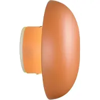 RL LIVE YOUR LIGHT Reality R24431140 Davey LED wandlamp, 1,5W, diameter 15,5 cm, abrikozenkleurig, warm wit licht, met touchbediening