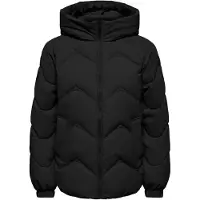 JDY Power short hood puffer