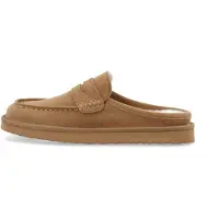 Bianco Huisschoenen bruin