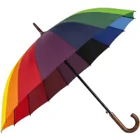 Maxte Regenboog paraplu in de vorm van een hartje