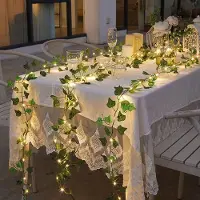 HomeShopXL LED-decoratie - 20 LED's - 2 meter - warm wit licht