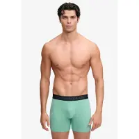 Superdry Boxershorts lichtgrijs / kiwi / appel / donkergroen