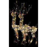 vidaXL Kerstversiering rendier 2 st meerkleurig 128 cm acryl