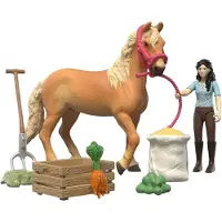 Schleich 42797 Emily's Care Set