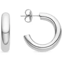 Luxenter Oorbellen 'Shiwa' zilver
