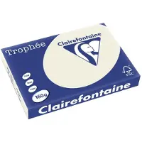 Clairefontaine Gekleurd papier Parelgrijs 160 grams A3 (250 vel)
