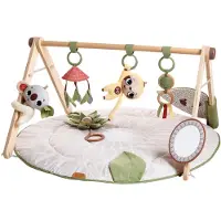 Tiny Love Boho Chic Luxe Developmental Gymini, Speelkleed voor Baby's, Houten Speelgoed Boog, Vanaf 0 Maanden
