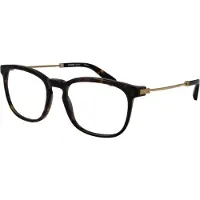 Rodenstock Optical Frame R8029 B000 53 Titanium