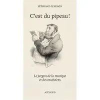 Actes sud C'EST DU PIPEAU LE JARGON DE LA MUSIQUE ET DES MUSICIENS