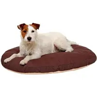 Karlie Oval Doc Bed Kussen