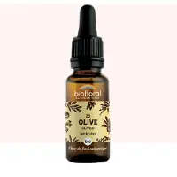 Biofloral Bachbloesems 23 Olijf Bio 20 ml Druppels