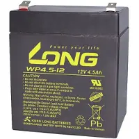 Long WP45-12 Loodaccu 12 V 45 Ah Loodvlies (AGM) (b x h x d) 199 x 171 x 166 mm M6-schroefaansluiting VDS-certificering, Geringe zelfontlading, Onderhoudsvrij
