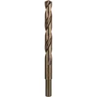 Bosch 2609255085 2609255085 HSS Metaal-spiraalboor 12 mm Gezamenlijke lengte 151 mm Kobalt DIN 338 Cilinderschacht 1 stuk(s)