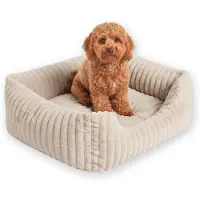 4L Textil Bella plush dog bed, small dogs, cats, dog basket 60 x 40 cm, fully washable, cuddly soft plush, wide ribbed structure, silicone fiber filling - Beige