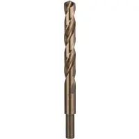 Bosch 2609255086 2609255086 HSS Metaal-spiraalboor 13 mm Gezamenlijke lengte 151 mm Kobalt DIN 338 Cilinderschacht 1 stuk(s)