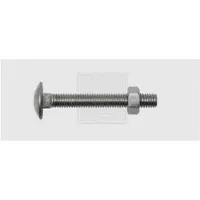 Swg 4009146507493 Platbolkopschroef 8 mm 40 mm Buitenzeskant DIN 603 RVS A2 25 stuk(s)