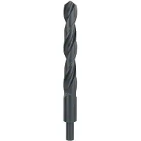 Bosch 2609255028 2609255028 HSS Metaal-spiraalboor 20 mm Gezamenlijke lengte 205 mm Rollenwals DIN 338 Cilinderschacht 1 stuk(s)
