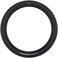 Schwalbe Albert Trail Pro - TLR - ADDIX Soft - Radial - 29x2.50 - Black