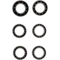 Ceramicspeed Enve-5 Coated Lagers